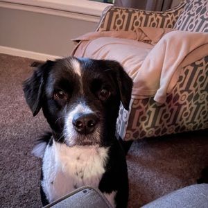 Meet your Posher, Nancy